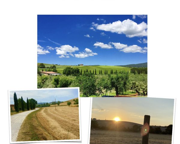 La storia del nostro agriturismo https://www.pomonte.com