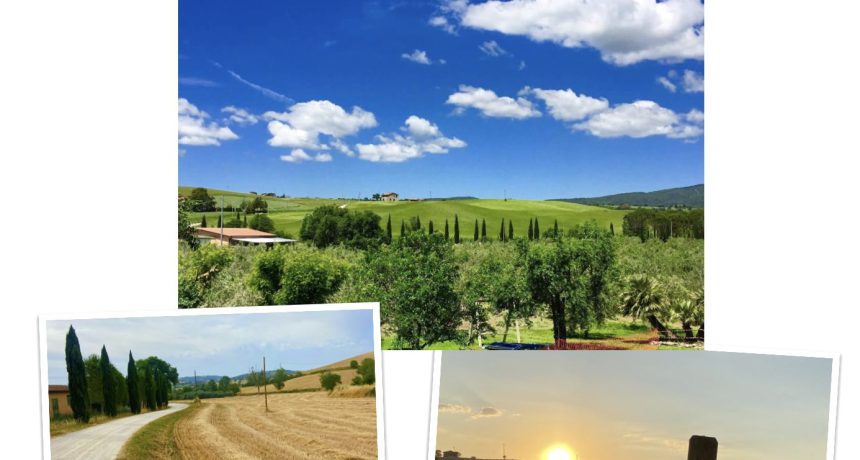 La storia del nostro agriturismo https://www.pomonte.com